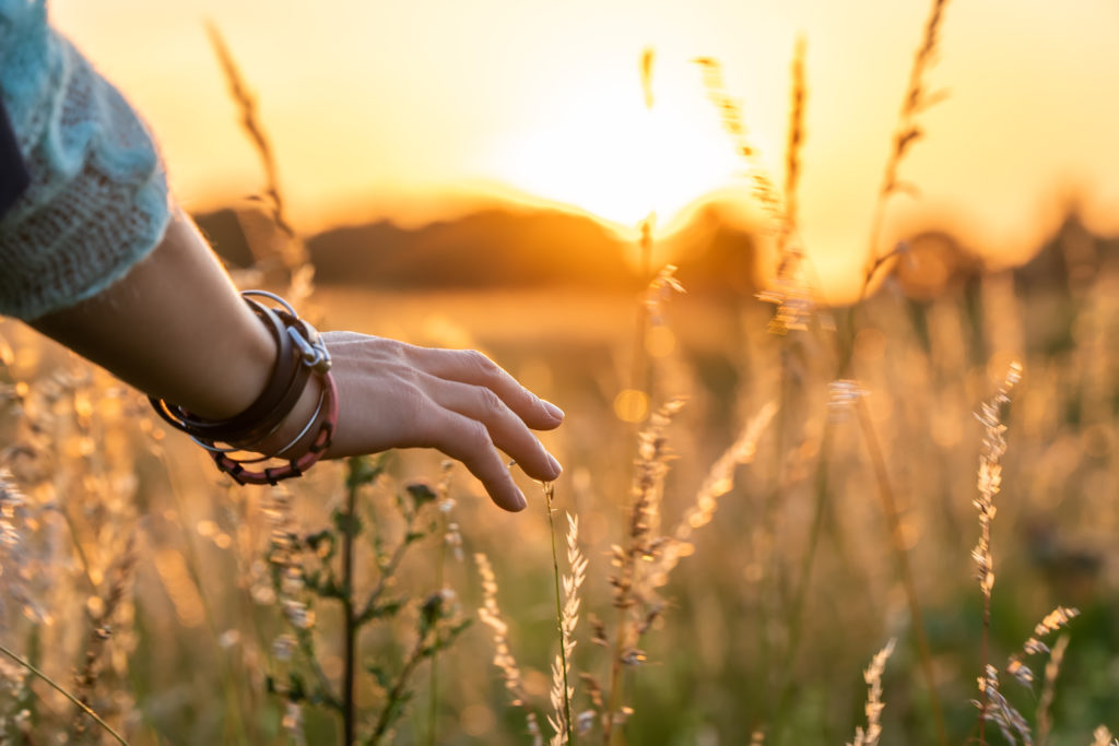 refuting medication-assisted treatment myths