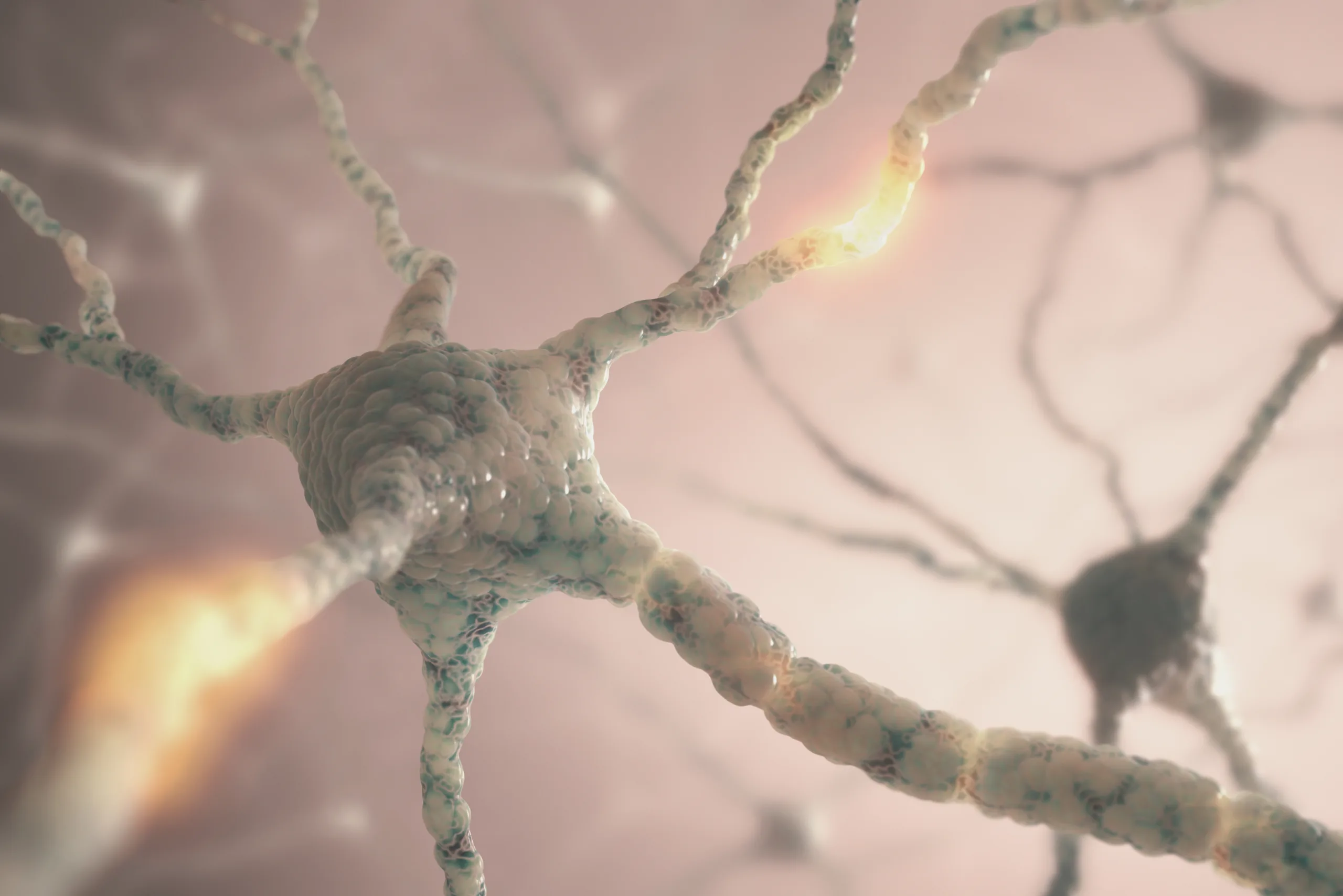 Image concept of neurons from the human brain.